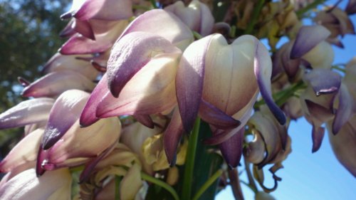 wpid-dsc03548.jpg image