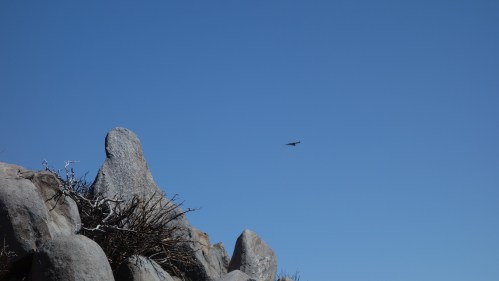 wpid-dsc03704.jpg image