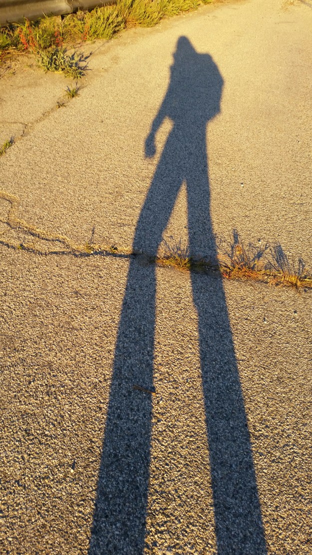 20140502_062301.jpg image