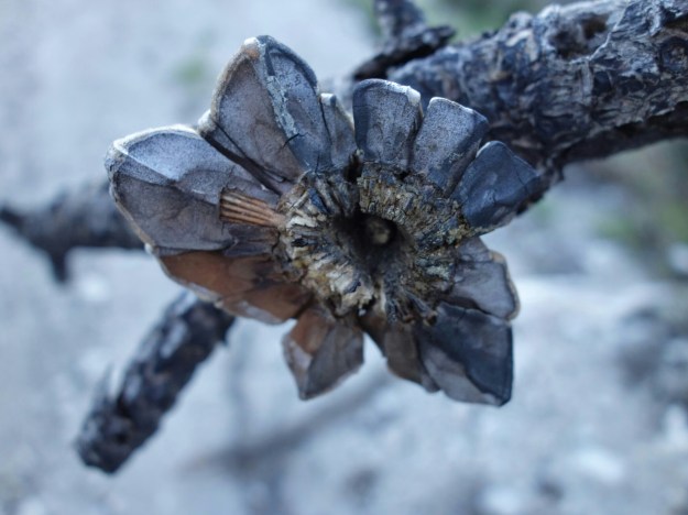 wp-1399238491717 image