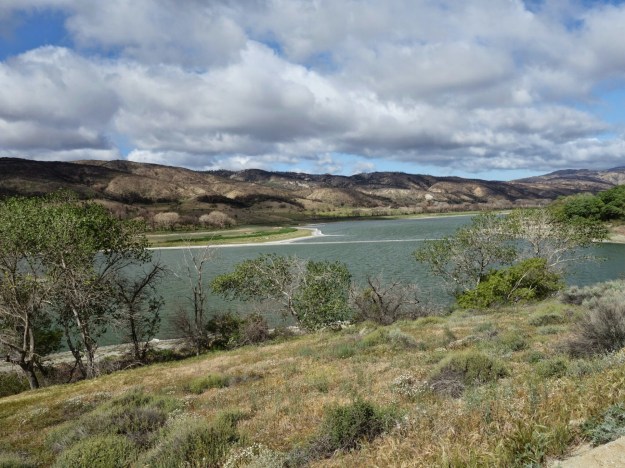 wp-1399433483694 image