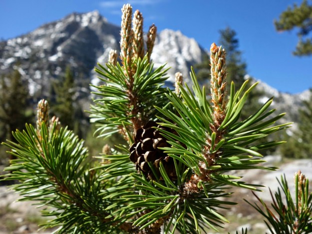 wp-1402324994253 image