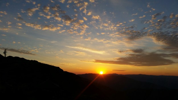 20140716_060207.jpg image