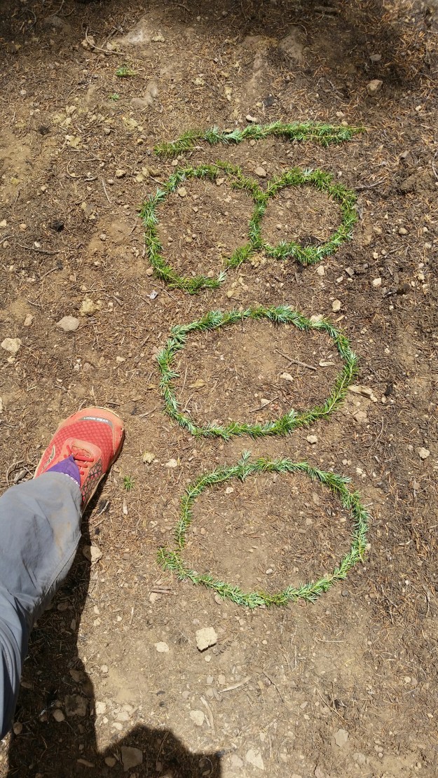 20140721_123938.jpg image