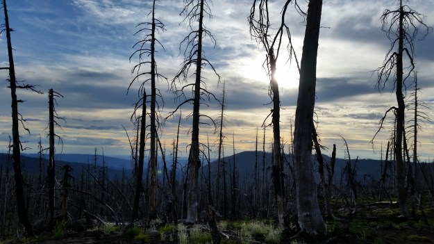 20140721_191928.jpg image