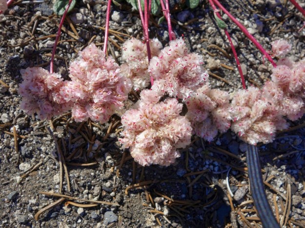 wp-1404595429839 image