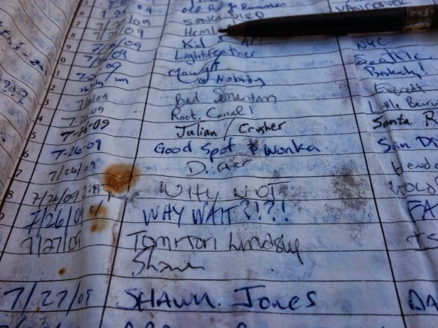 wp-1404595478339 image