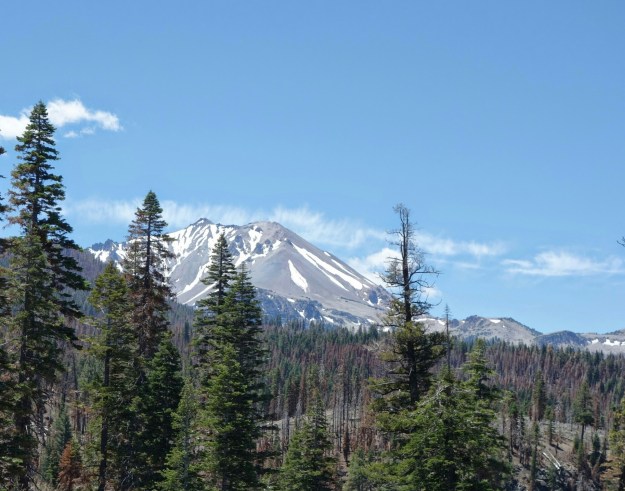 wp-1404595537375 image