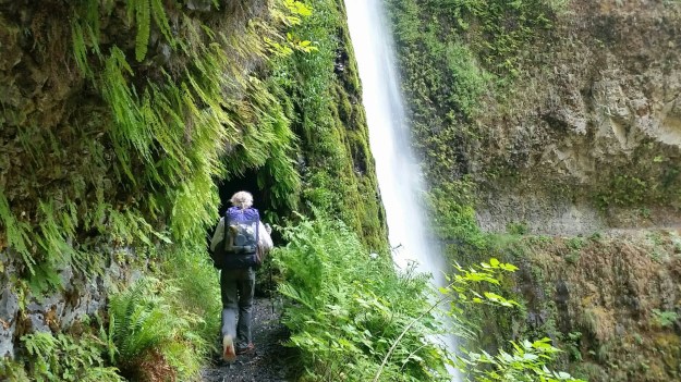 wp-1407374608004 image