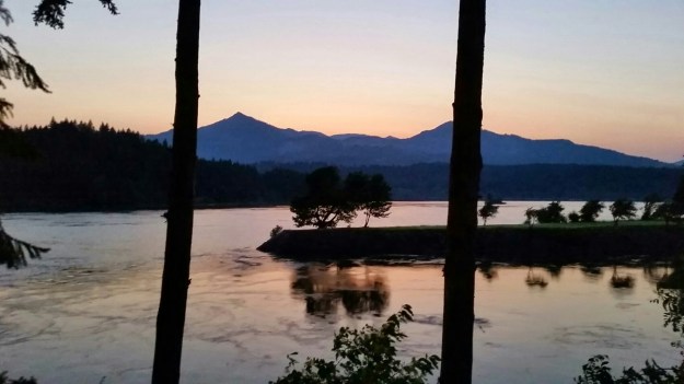 wp-1407374777152 image