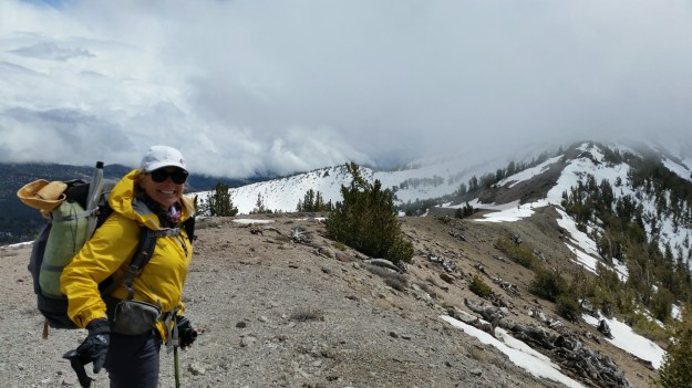 wp-1434577671302 image