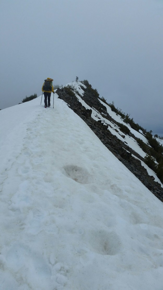 wp-1434577708969 image