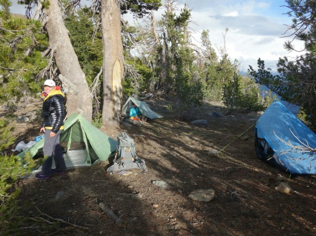 wp-1434578092059 image