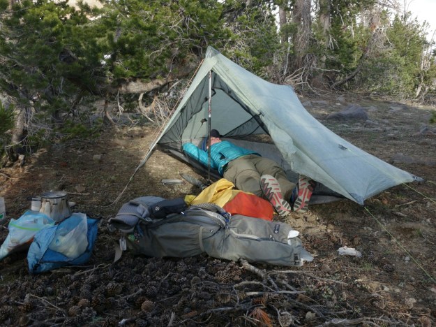 wp-1434578128392 image