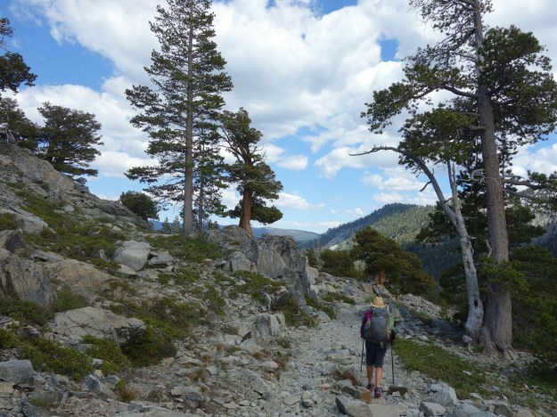 wp-1434683247459 image