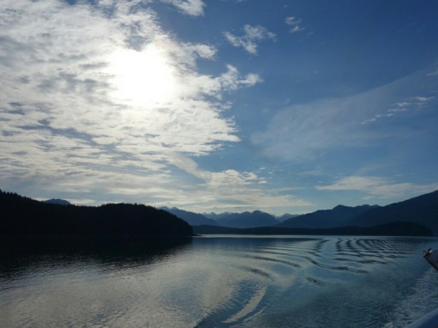 IMG_20150701_192053.jpg image