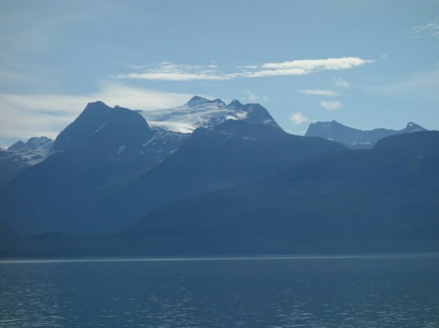 IMG_20150701_192325.jpg image