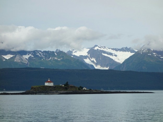 IMG_20150701_192428.jpg image