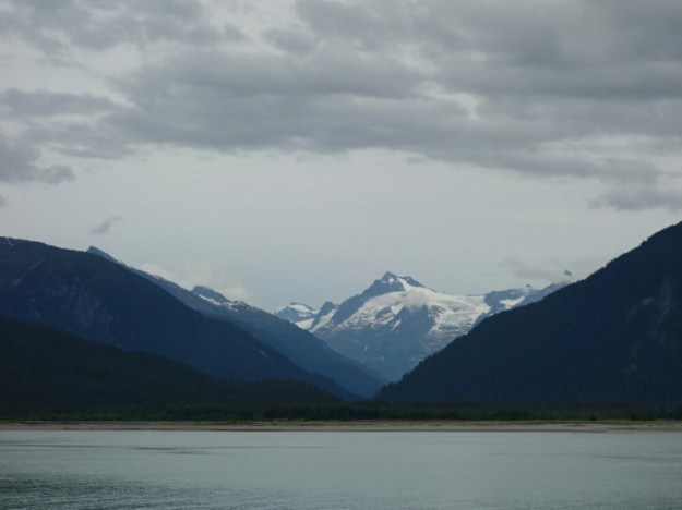 IMG_20150701_192550.jpg image