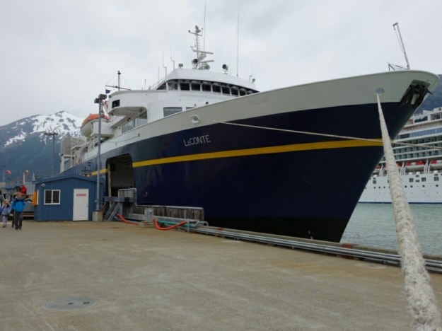 IMG_20150701_192737.jpg image