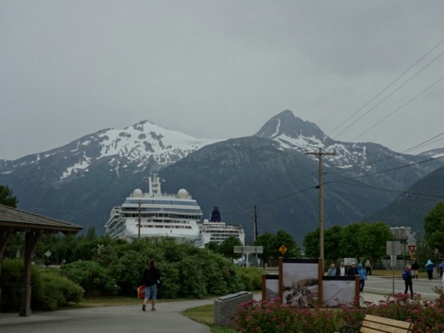 IMG_20150701_192854.jpg image