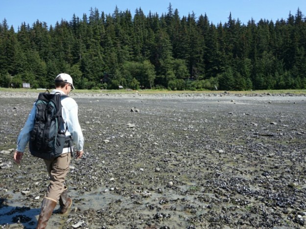 IMG_20150707_002847.jpg image