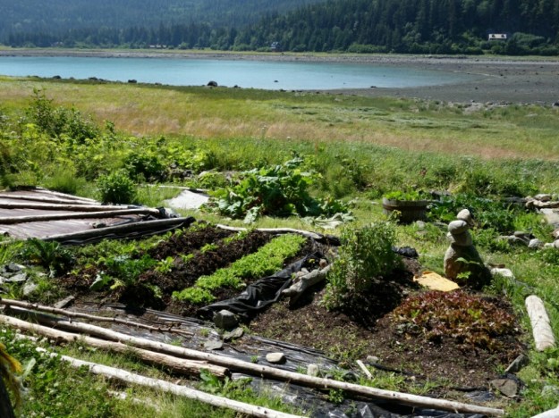 IMG_20150707_002934.jpg image