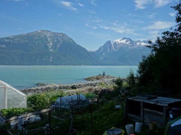 IMG_20150707_003215.jpg image