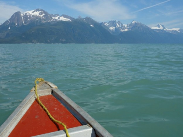 IMG_20150707_003343.jpg image