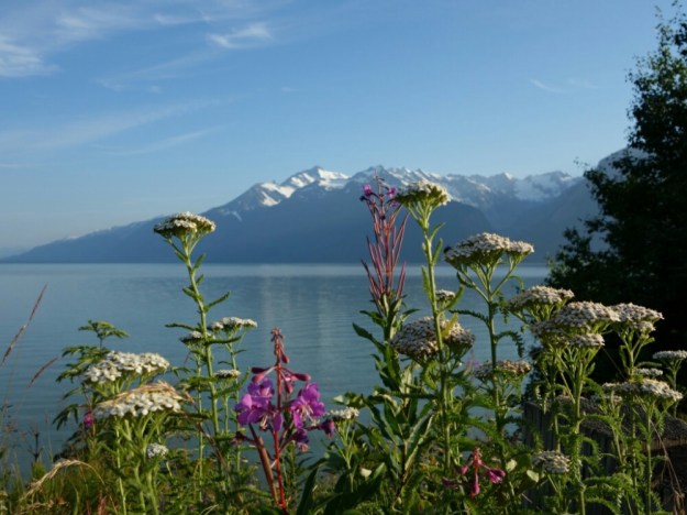 IMG_20150707_004205.jpg image