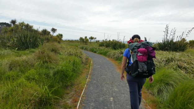 IMG_20151130_135721.jpg image