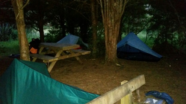 IMG_20151130_142738.jpg image