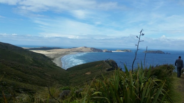 IMG_20151106_164636.jpg image