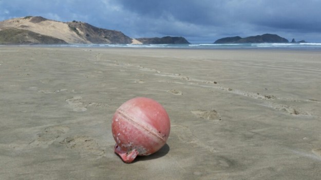 IMG_20151106_165142.jpg image