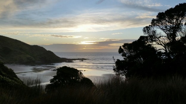 IMG_20151106_170058.jpg image