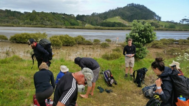 IMG_20151121_124239.jpg image