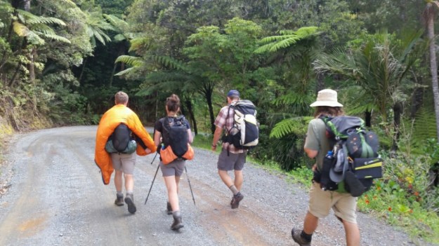 IMG_20151121_124504.jpg image