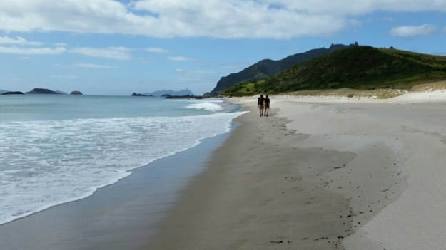 IMG_20151121_124619.jpg image