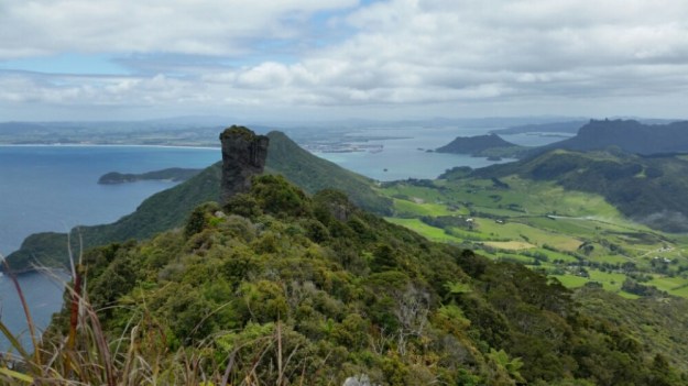 IMG_20151121_125330.jpg image