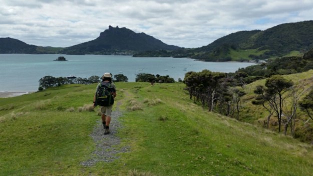 IMG_20151121_125607.jpg image