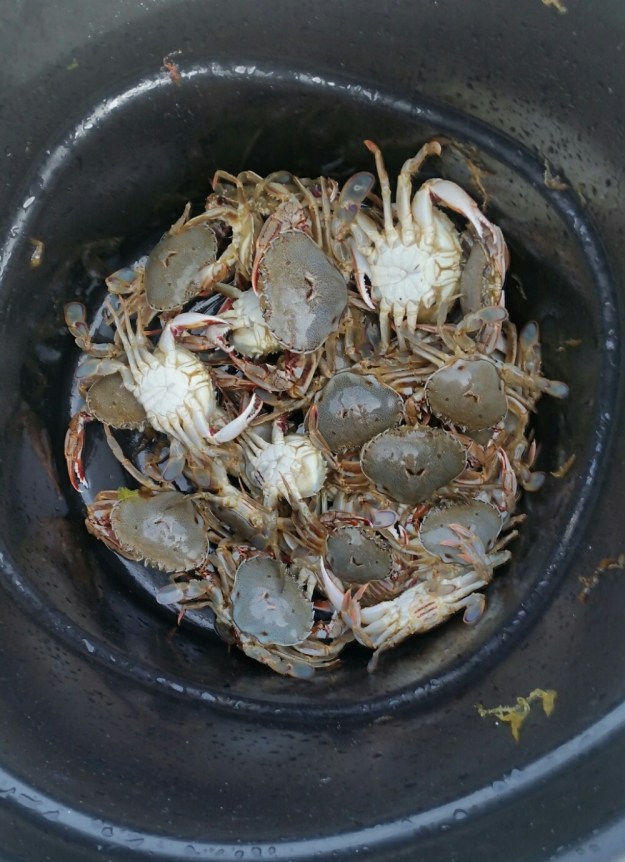 IMG_20151121_125814.jpg image