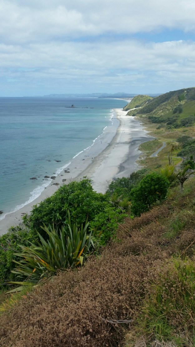 IMG_20151121_132235.jpg image