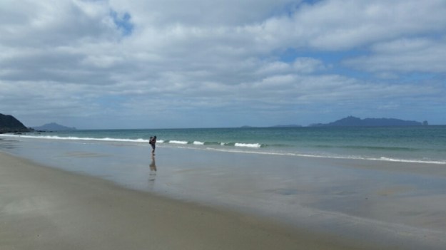 IMG_20151121_132318.jpg image