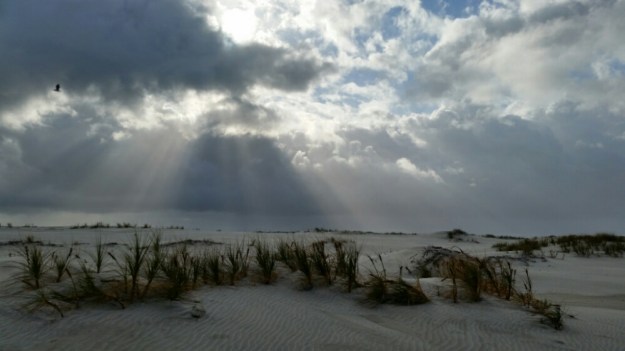 IMG_20151122_080351.jpg image