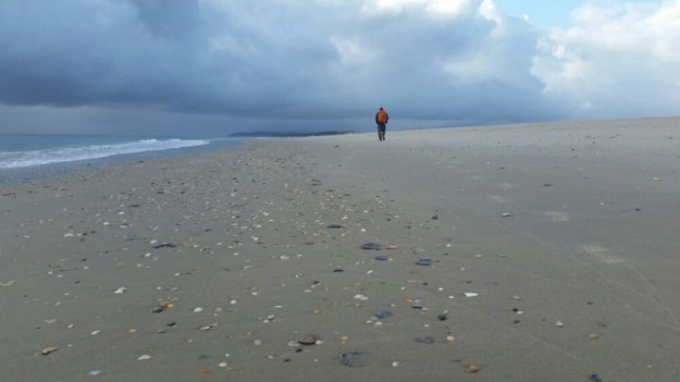 IMG_20151122_080450.jpg image