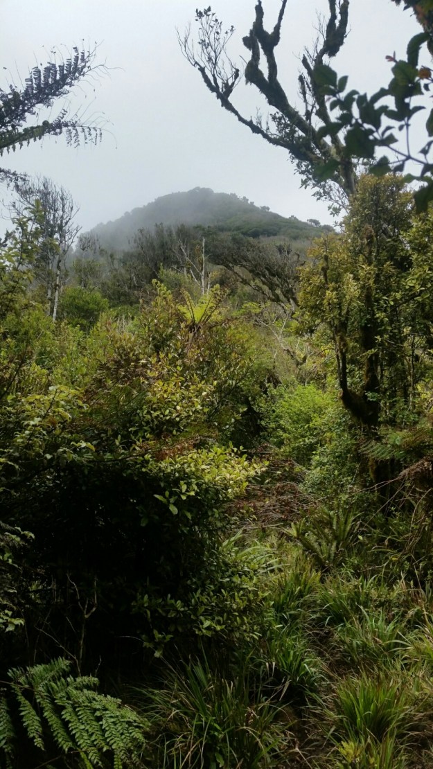 IMG_20151205_210207.jpg image