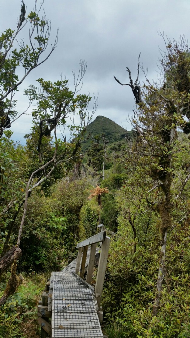 IMG_20151205_210525.jpg image