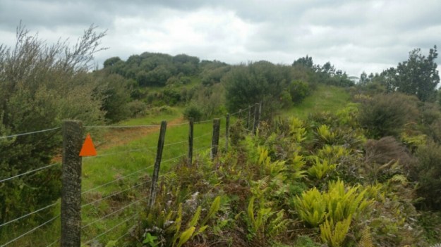 IMG_20151212_073016.jpg image