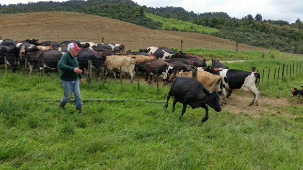 IMG_20151212_074416.jpg image