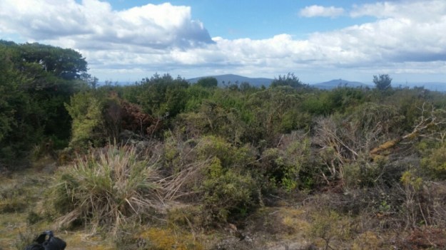 IMG_20151212_123855.jpg image